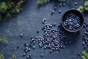 Gin botanicals juniper berries